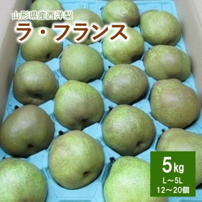 西洋梨(ラフランス)5kg　ご家庭用　0110-2604