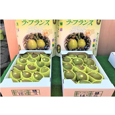 西洋梨(ラ・フランス)5kg　特秀品　0089-2504