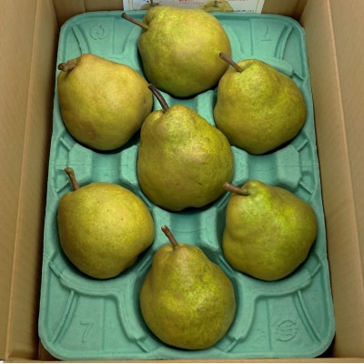 西洋梨(ラ・フランス)6kg　大玉　ご家庭用　0009-2512