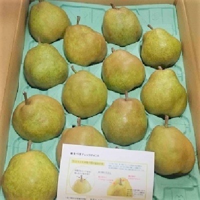 西洋梨(ラ・フランス)5kg　ご家庭用　0009-2510