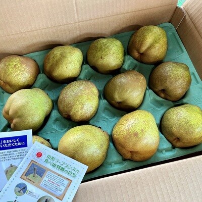 西洋梨(ラ・フランス)5kg　10～14玉　0079-2619