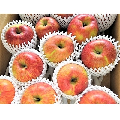 りんご(あいかの香り)5kg　ご家庭用　0075-2613