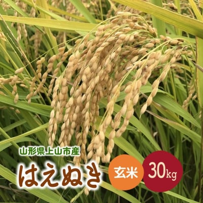 【2026年11月～発送】令和8年産　はえぬき(玄米)30kg　0079-2640