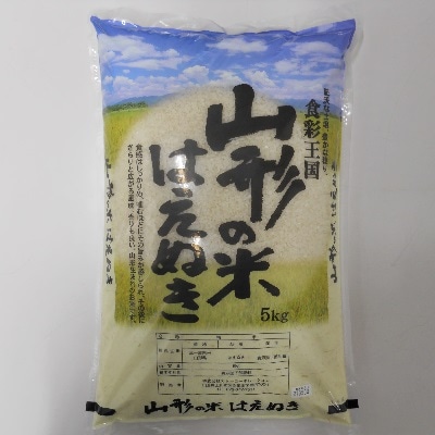 令和5年産　山形のお米　米囃子(はえぬき)5kg　0017-2331 | ふるさと納税のお礼品