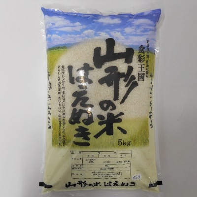 令和5年産 山形のお米 米囃子(はえぬき)5kg 0017-2331