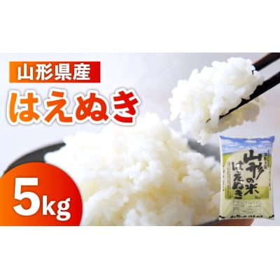 令和8年産 山形のお米 米囃子 (はえぬき) 5kg 0017-2647