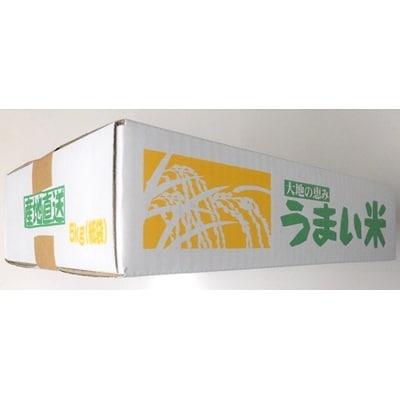 令和7年産　山形のお米　米囃子(雪若丸)5kg　0017-2534