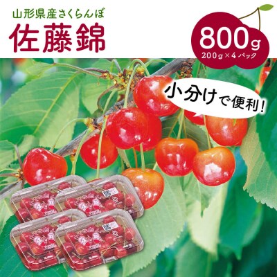 さくらんぼ(佐藤錦)800g　0060-2304 | ふるさと納税のお礼品