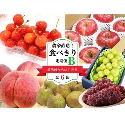 【定期便:全6回】農家直送!食べきり定期便B 0127-2208
