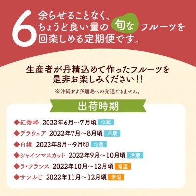 【定期便:全6回】農家直送!食べきり定期便B 0127-2208