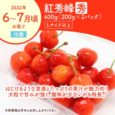 【定期便:全6回】農家直送!食べきり定期便B 0127-2208