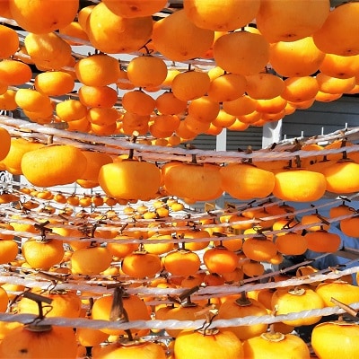 xjh[`(ԊOHg`)10@0040-2508