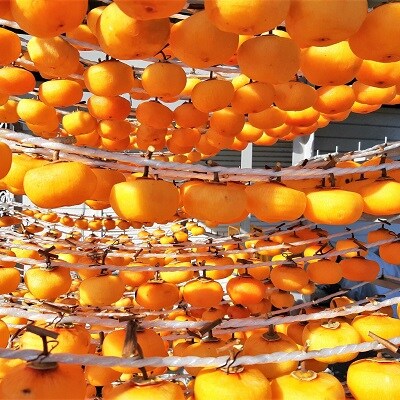 ベニドール干し柿(遠赤外線加工紅干し柿)10個　0040-2508