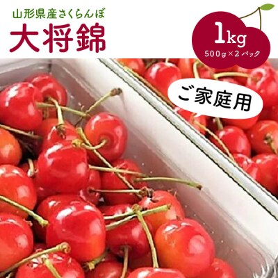 さくらんぼ(大将錦)1kg ご家庭用 0075-2303