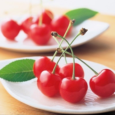 さくらんぼ(佐藤錦)500g　特秀品　0021-2601