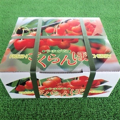 さくらんぼ(佐藤錦か紅秀峰)500g　2Lサイズ　0032-2601