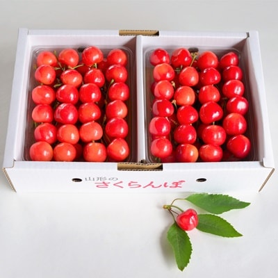 さくらんぼ(佐藤錦)1kg　0052-2604