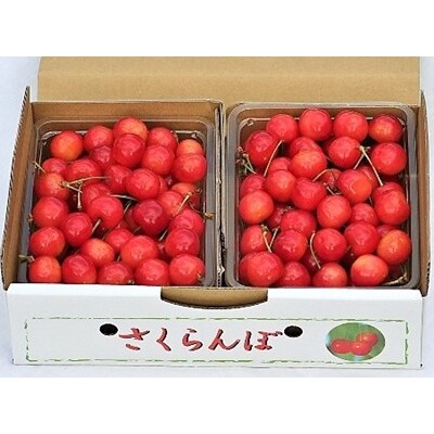 さくらんぼ(佐藤錦)1kg　0069-2606