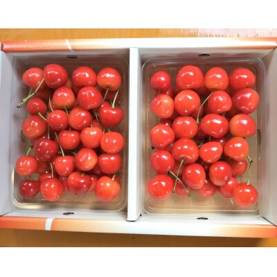 さくらんぼ(佐藤錦)700g　0033-2301 | ふるさと納税のお礼品