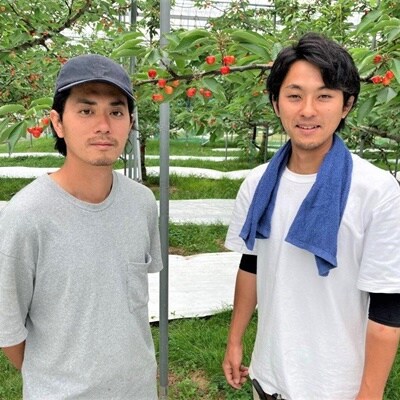 さくらんぼ(佐藤錦または紅秀峰)1.2kg　ご家庭用　0078-2510