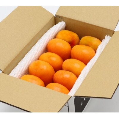 【定期便:全4回】上山の秋冬フルーツあがらっしゃいセット 0127-2215