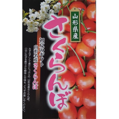 さくらんぼ(紅秀峰)1kg　0036-2502