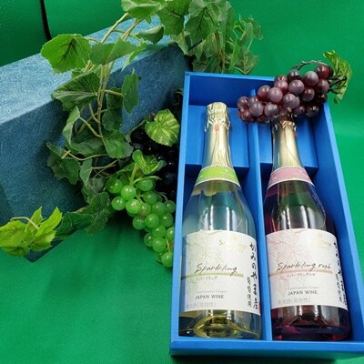 サントネージュスパークリング　かみのやま産葡萄　2本セット　0141-2609