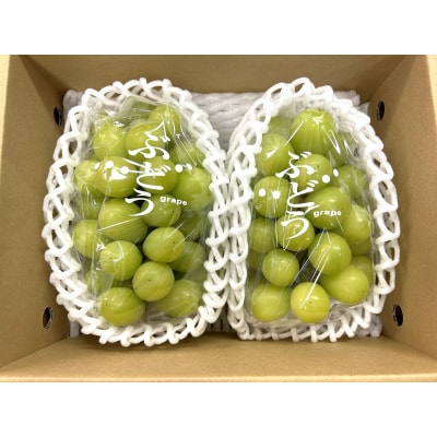 ぶどう(シャインマスカット)2～3房　合計1.2kg　0120-2602