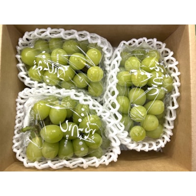 ぶどう(シャインマスカット)2～3房　合計1.2kg　0120-2602