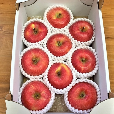 りんご(こうとく)2kg　8～12個　秀品・ご家庭用混合　0120-2603