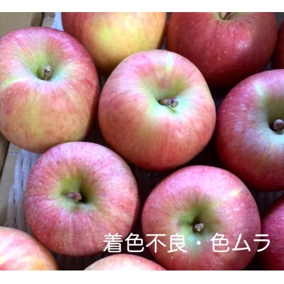 りんご(こうとく)2kg　8～12個　秀品・ご家庭用混合　0120-2603