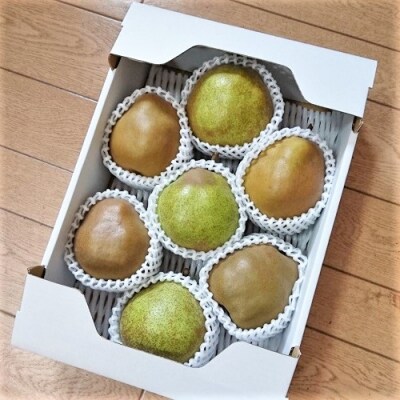 ゴールドラ・フランスとラ・フランス詰合せ　3kg　特秀品　0096-2302