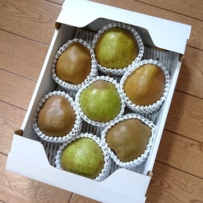 ゴールドラ・フランスとラ・フランス詰合せ　3kg　秀品　0096-2503