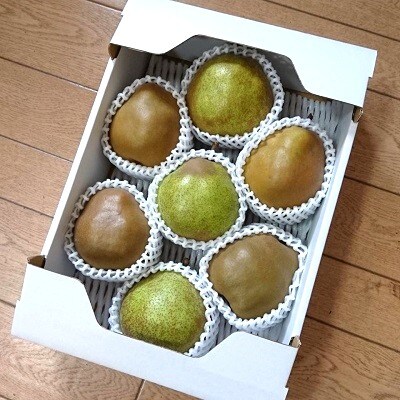 ゴールドラ・フランスとラ・フランス詰合せ　3kg　秀品　0096-2603