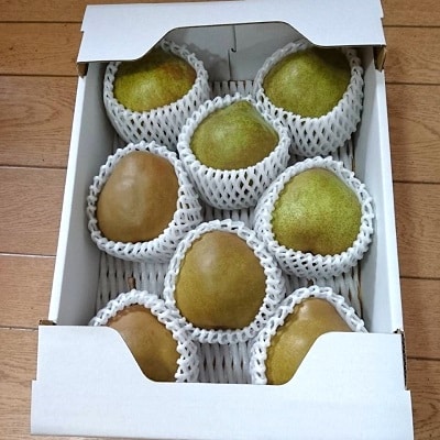 ゴールドラ・フランスとラ・フランス詰合せ　3kg　秀品　0096-2503