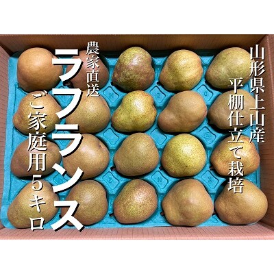 西洋梨(ラ・フランス)5kg　ご家庭用　0052-2308