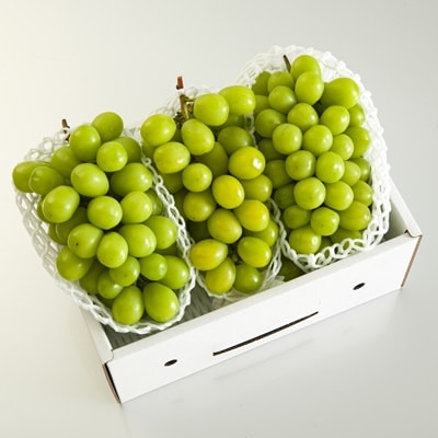 ぶどう(シャインマスカット)3～5房　0020-2615