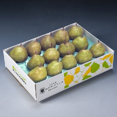 西洋梨(ラ・フランス)5kg　0020-2617