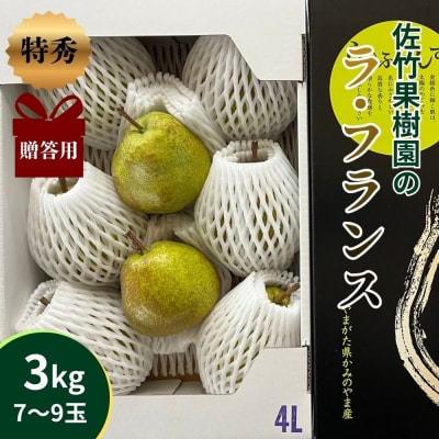 西洋梨(ラ・フランス)3kg　贈答用　0041-2603