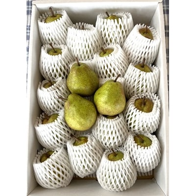 西洋梨(ラ・フランス)5kg　0041-2604