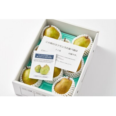 西洋梨(ラ・フランス)3kg　ご家庭用　0052-2605