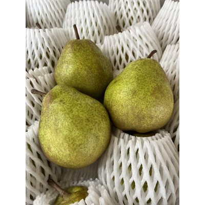 西洋梨(ラ・フランス)6kg　ご家庭用　0041-2605