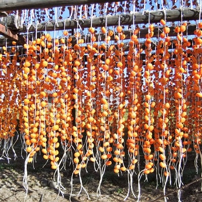 蔵王つるし柿32果　2Lサイズ以上　化粧箱入り　0112-2619