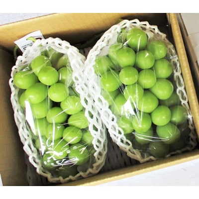 ぶどう(シャインマスカット)2房　合計1.5kg以上　0025-2611