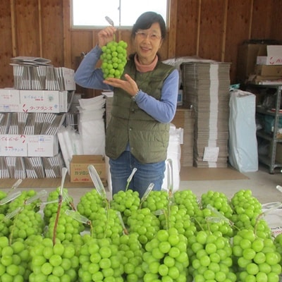 ぶどう(シャインマスカット)2房　合計1.5kg以上　0025-2611