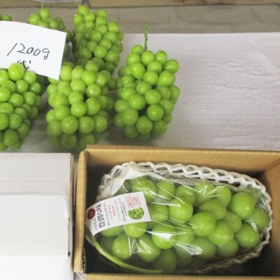 ぶどう(シャインマスカット)大房1房(1.2kg以上)　0025-2610