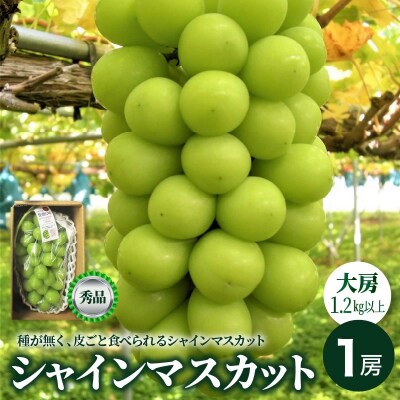 ぶどう(シャインマスカット)大房1房(1.2kg以上)　0025-2610