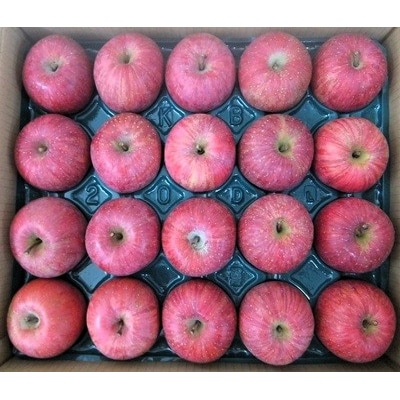 りんご(サンふじ)5kg　20玉　特秀品　0056-2622