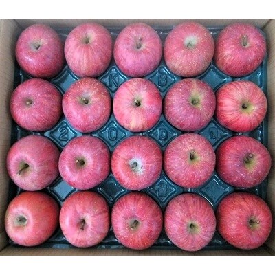 りんご(サンふじ)5kg　20玉　特秀品　0056-2622