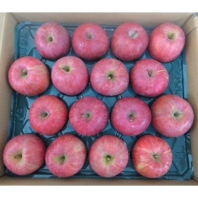 りんご(サンふじ)5kg　14～18玉　特秀品　0056-2623